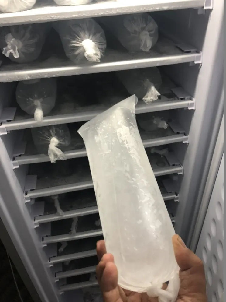 BD-198 Upright Freezer 12/24v DC